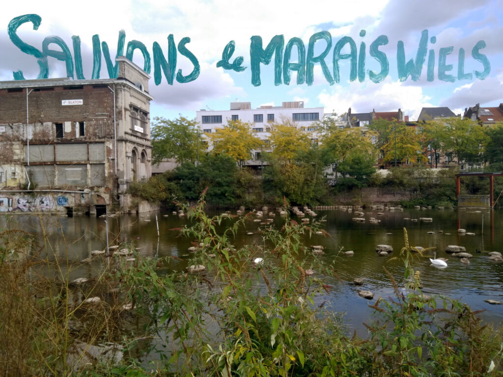 Photo of the Marais Wiels, a green space in Forest (Brussels) overlapped with the text "let's save the marais wiels"